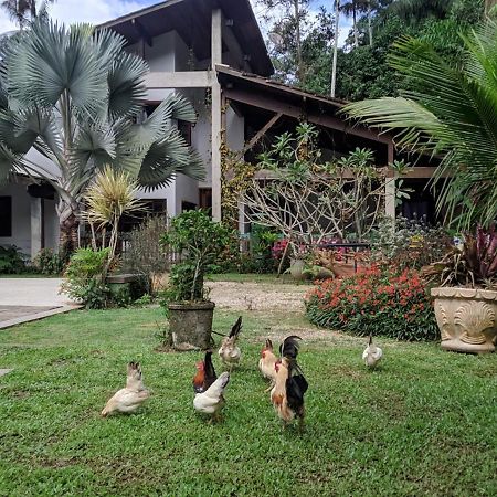 Casa Na Floresta Apartment Penedo  Bagian luar foto