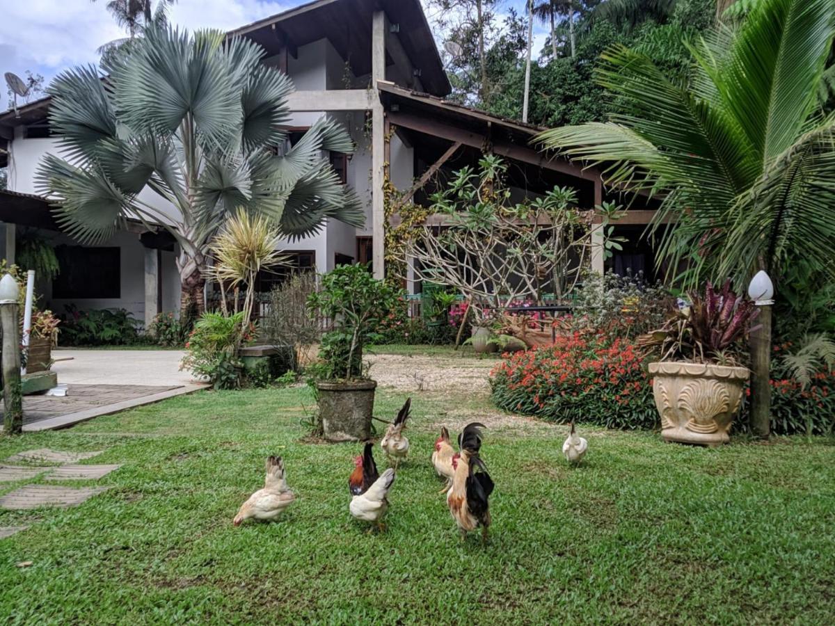 Casa Na Floresta Apartment Penedo  Bagian luar foto