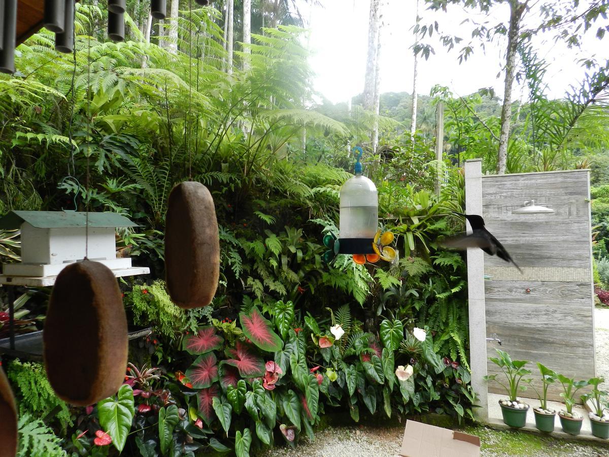 Casa Na Floresta Apartment Penedo  Bagian luar foto